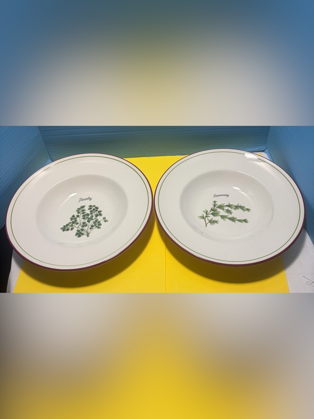 Cera Ceramica Cava France Herb Plates Set of 2 Parsley Rosemary 11"